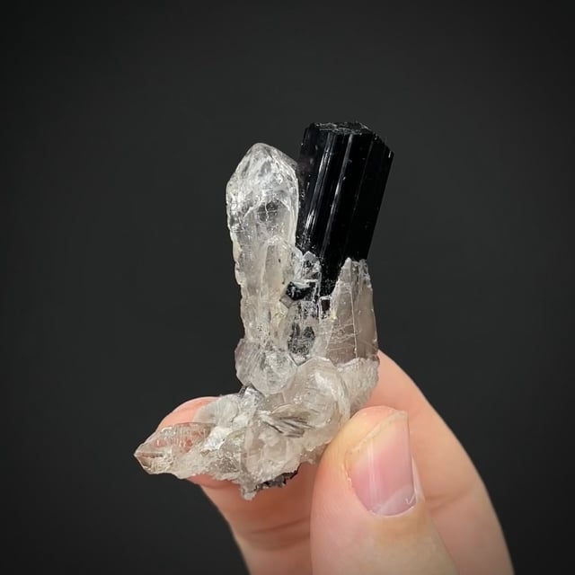 Schorl and Quartz (growing through each other)