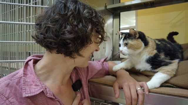 Lucy Mackenzie "Adoptables" August 2024