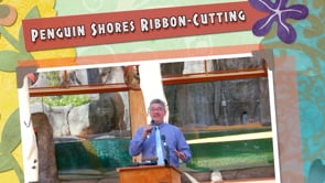 Wild - Penguin Shores Ribbon-Cutting