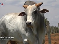 Lote 22S