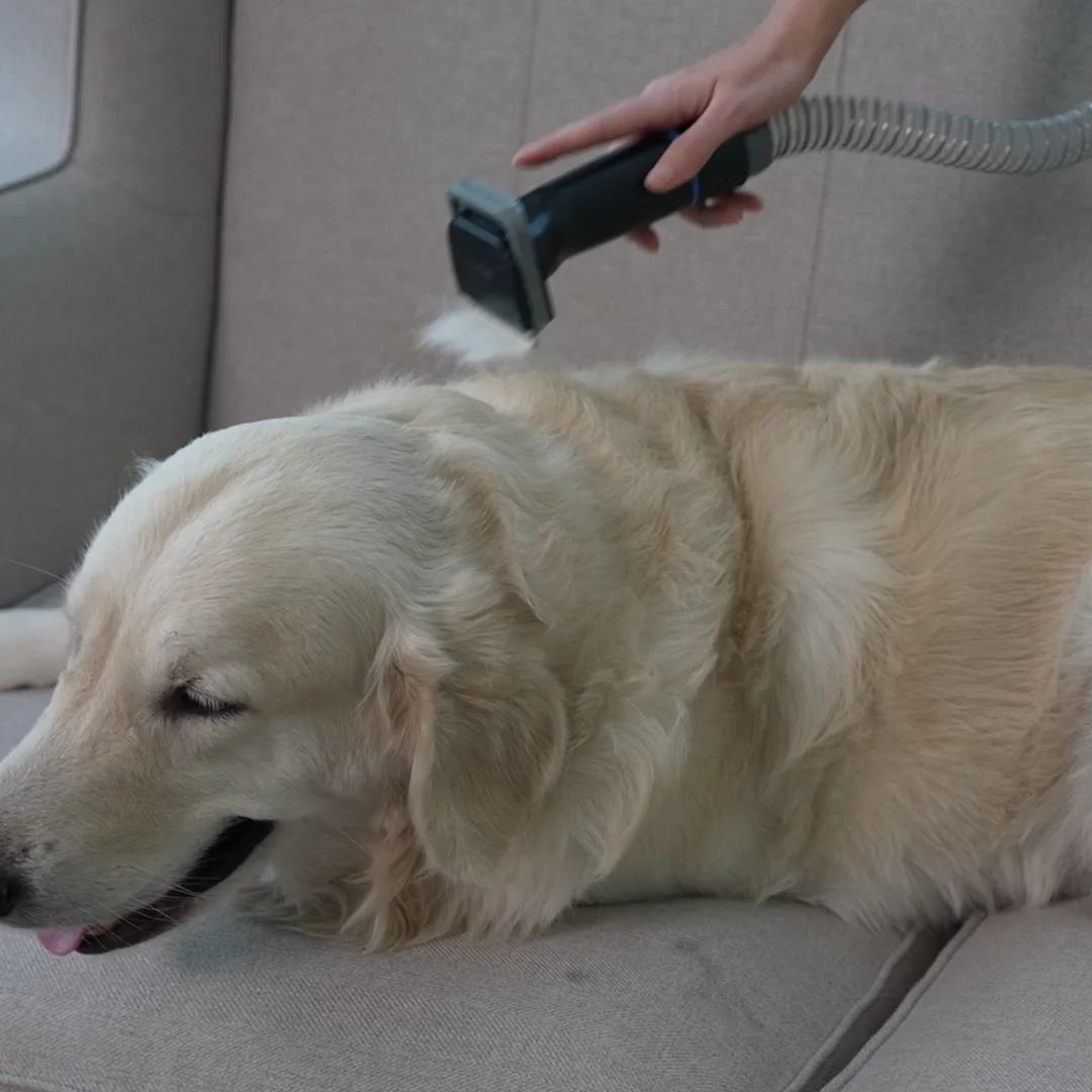 furMe Pet Grooming Vacuum 5-in-1 Vacuum Grooming Pin Brush, De