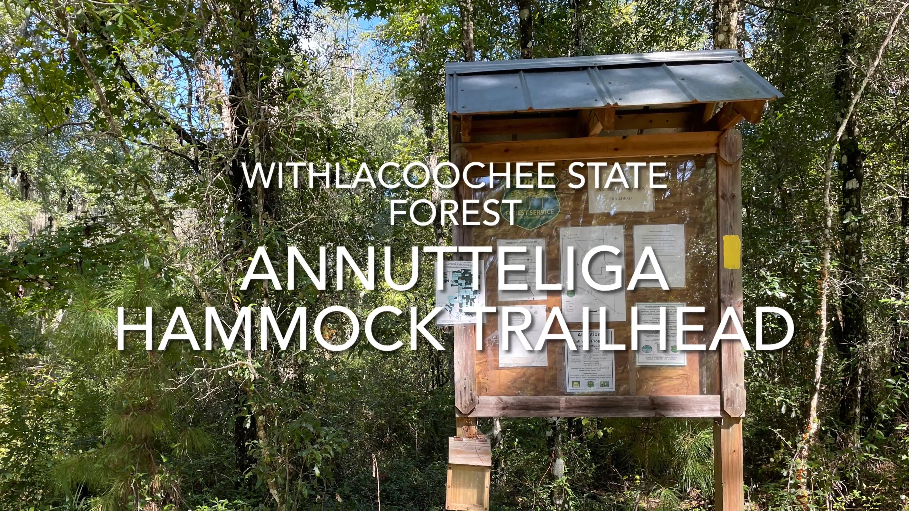 Annutteliga Hammock Trail