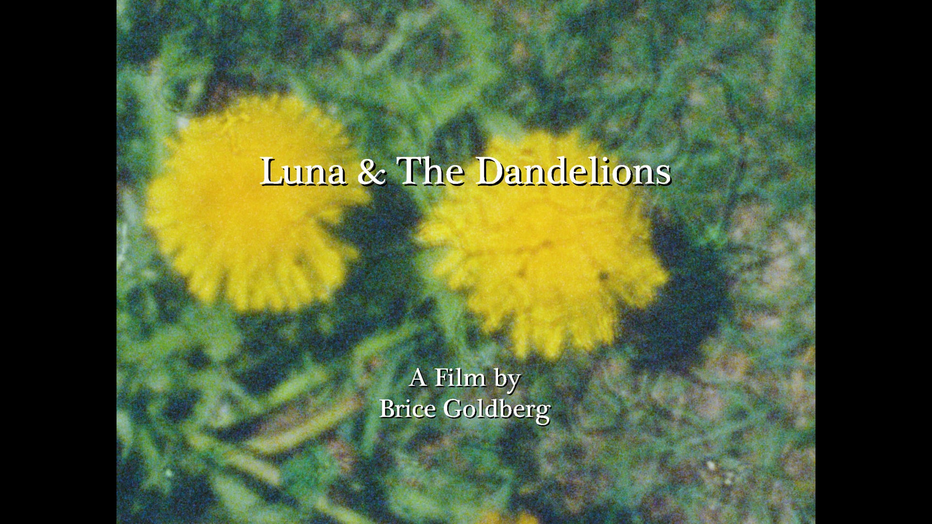 Luna & The Dandelions