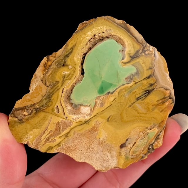 Variscite with Wardite and Crandallite (classic material)