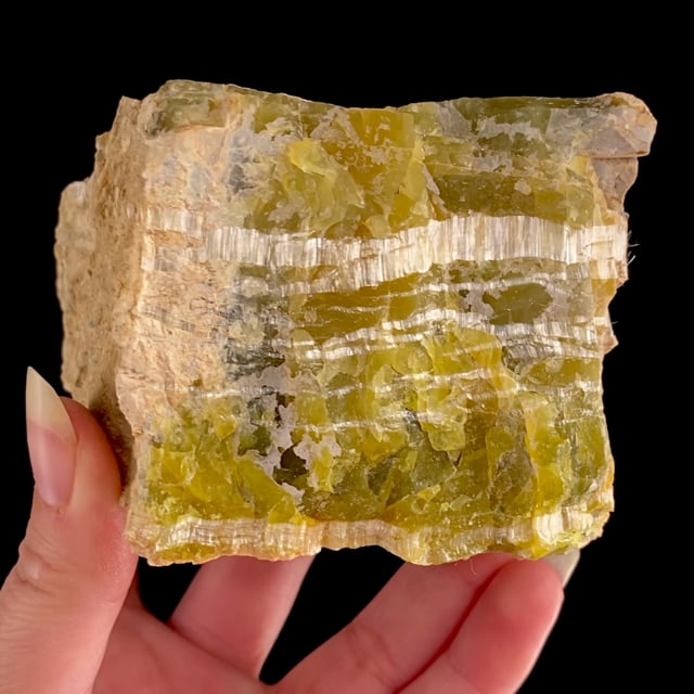 Chrysotile in Serpentine (Antigorite) (rare locality specimen)