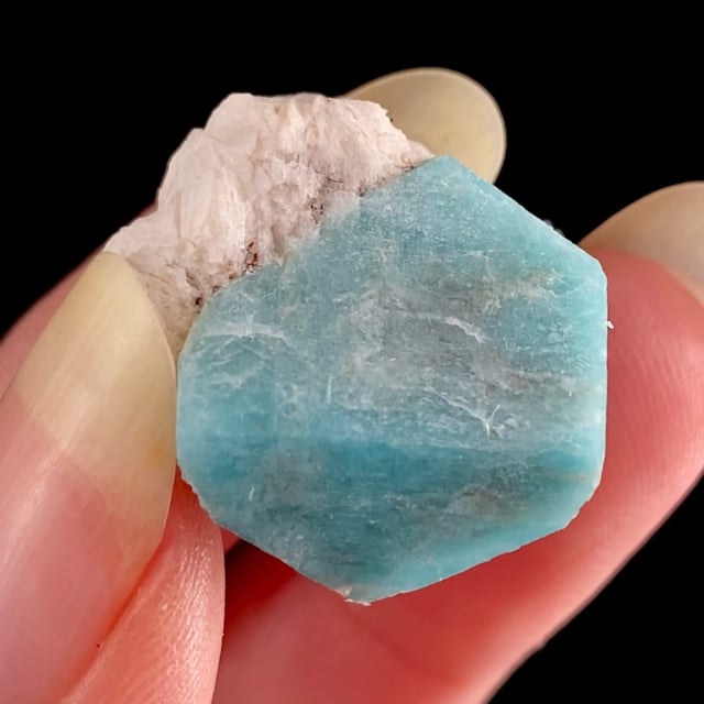 Microcline var: Amazonite with Albite var: Cleavelandite