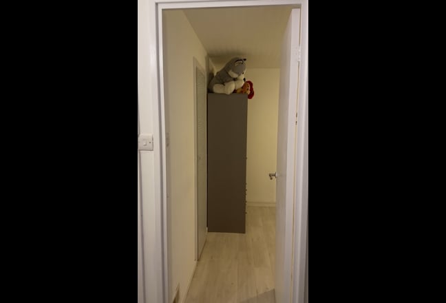 Video 1: 