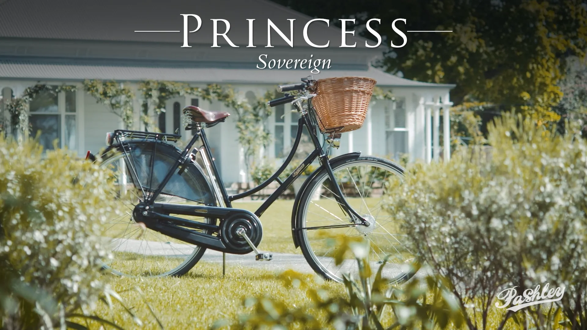 Pashley princess sovereign 8 speed hotsell
