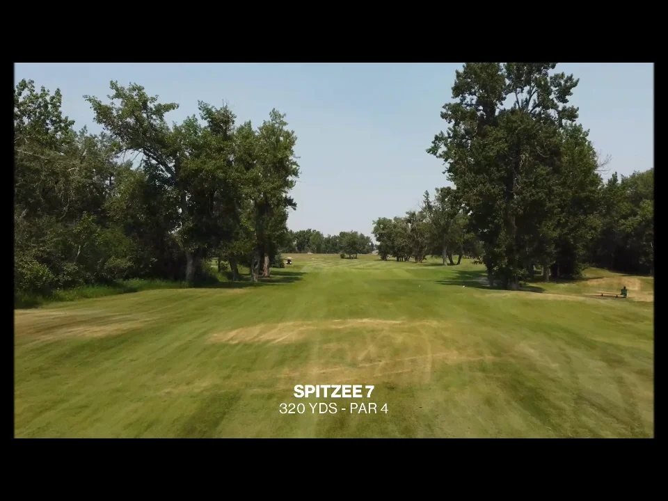 SPITZEE 7