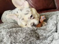 Watch me play!