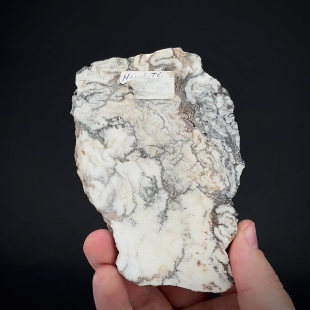 Howlite nodule