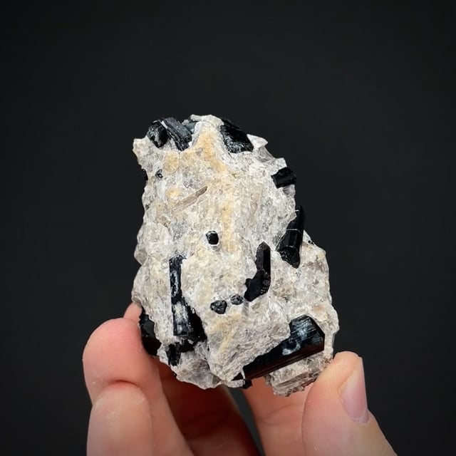 Schorl in Quartz