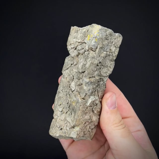 Pyrite "bar" with Marcasite (1974)