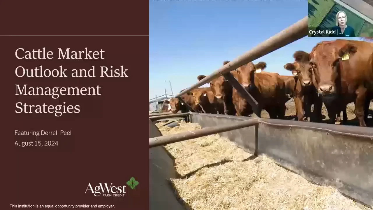 Cattle Market Outlook and Risk Management Strategies
