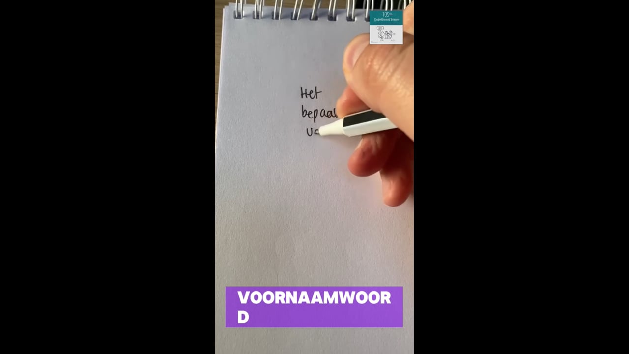 Bepaald voornaamwoord (het)*