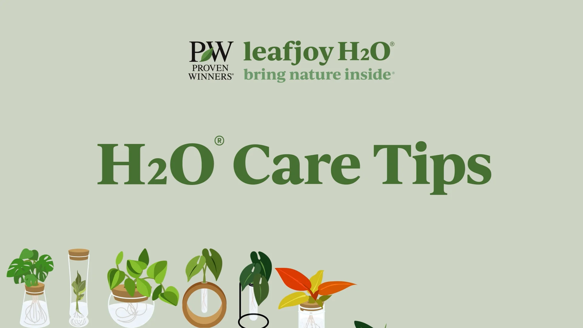 leafjoy H2O® Care Tips