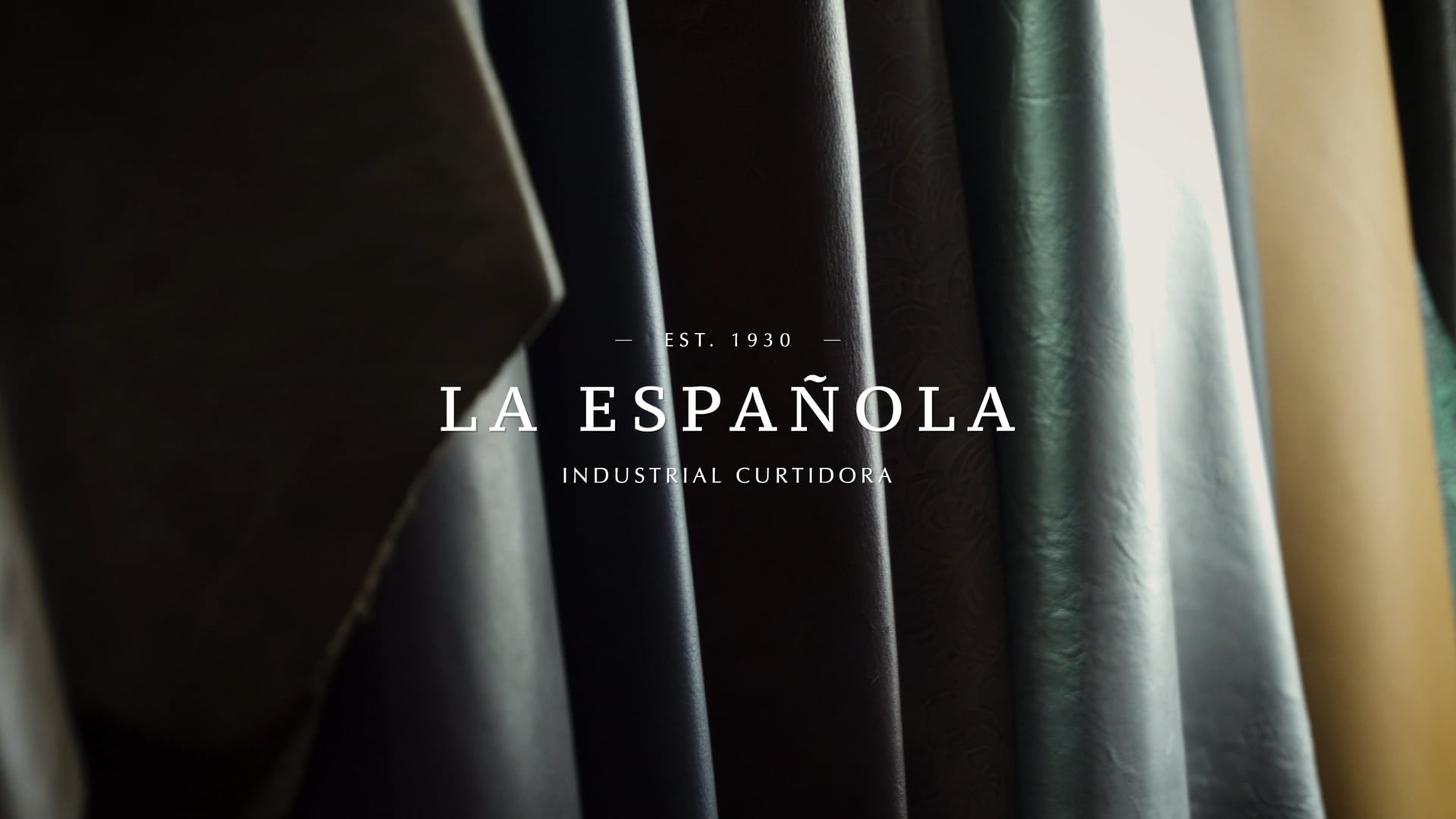 La Española - Industrial Curtidora