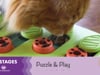 Outward Hound Rainy Day Puzzle & Play Interactive Cat Toy thumbnail number