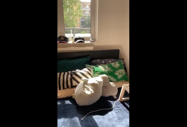 Video 1: