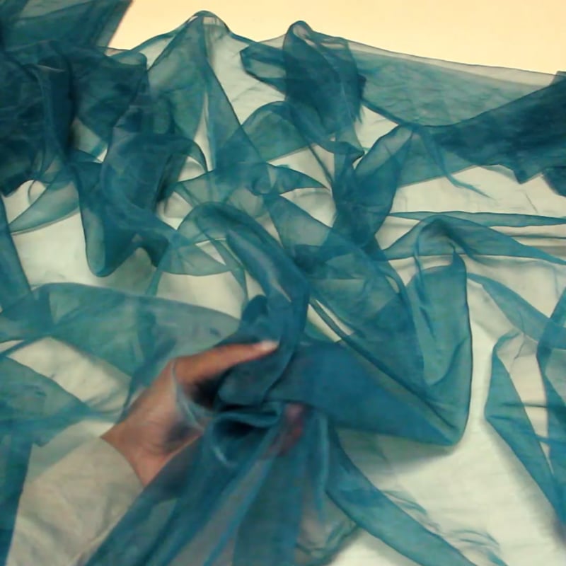 Vidéo: Organza - Canard
