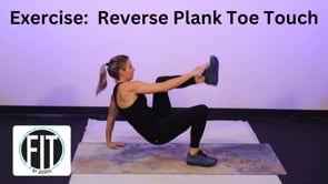 Reverse Plank Toe Touch