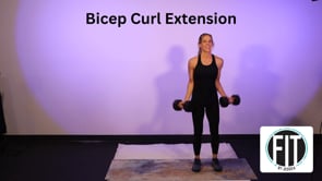 Bicep Curl Extension