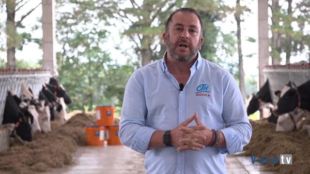 Control de cetosis en preparto con Natri Liver