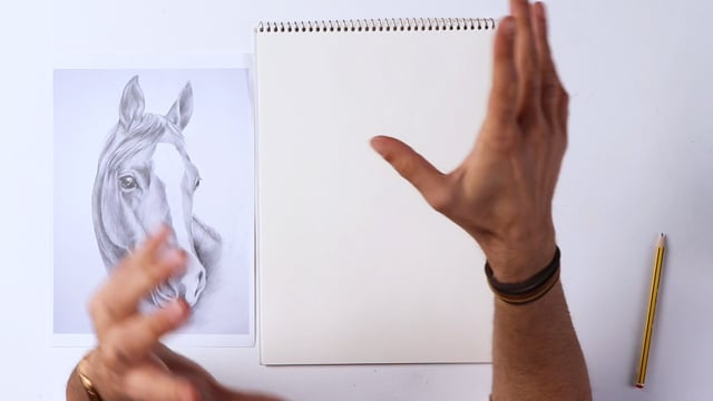 Vimeo Video Thumbnail