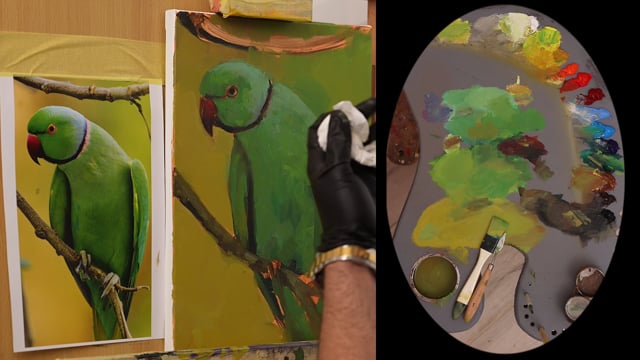 Vimeo Video Thumbnail