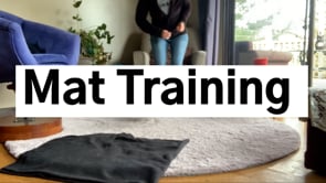 Mat Training with Rosie