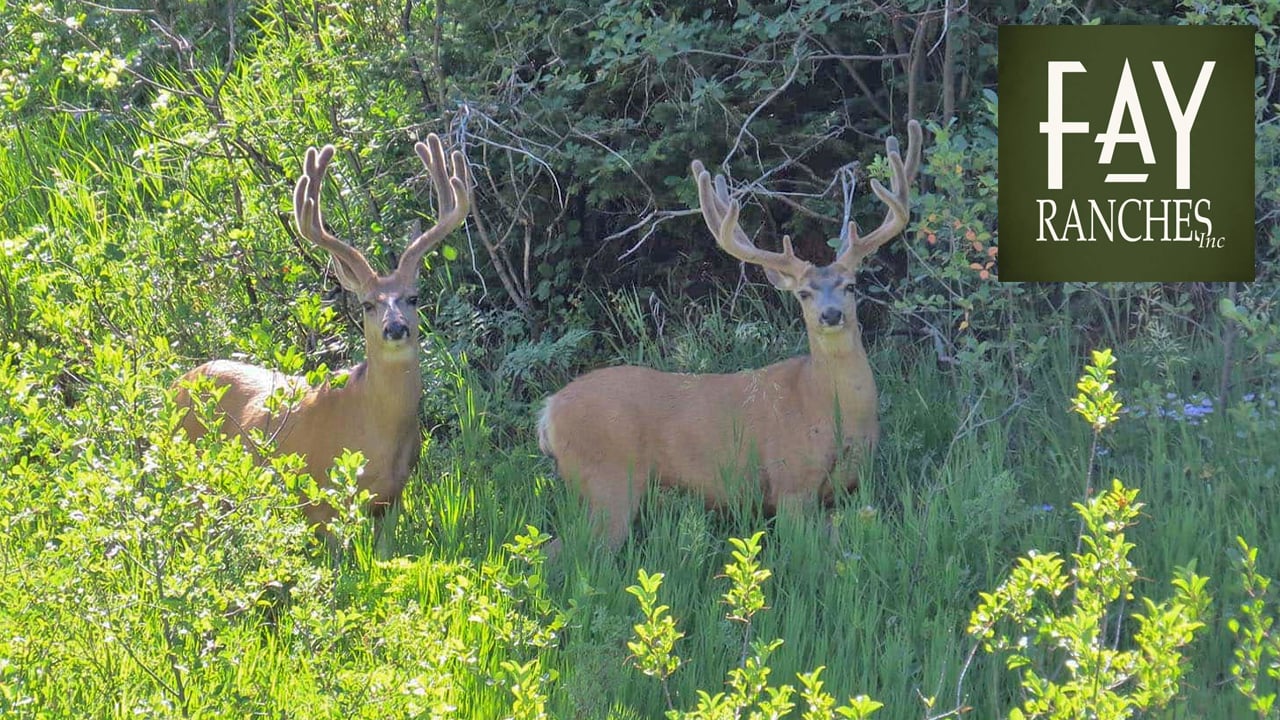 Doc Utterback Ranch