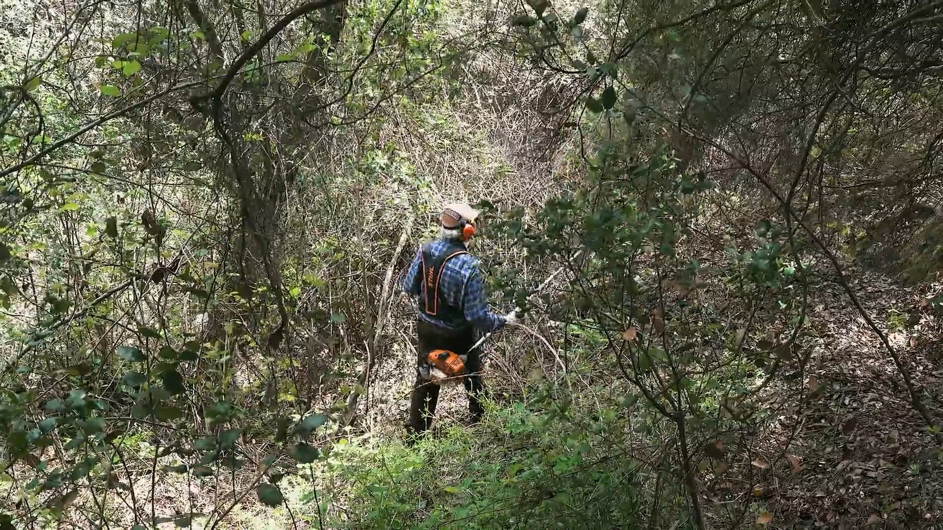 El Secret del Bosc (2024)