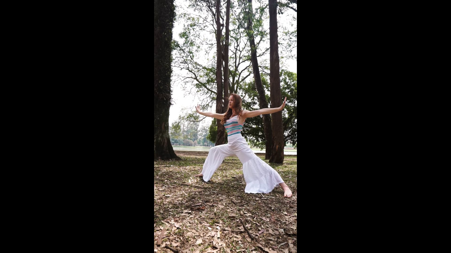 Promotional video thumbnail 4 for Ballroom, Brazilian and Latin dances