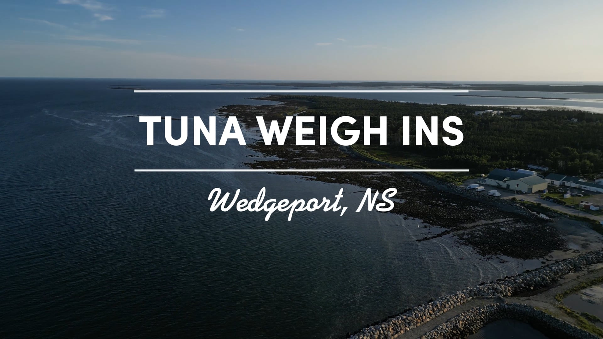 Tuna Weigh Ins - Wedgeport, NS (4K)