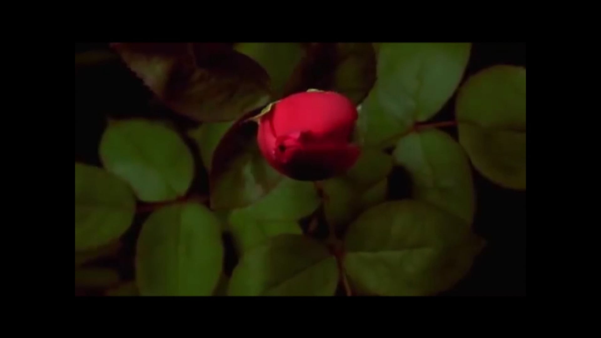 Temptation