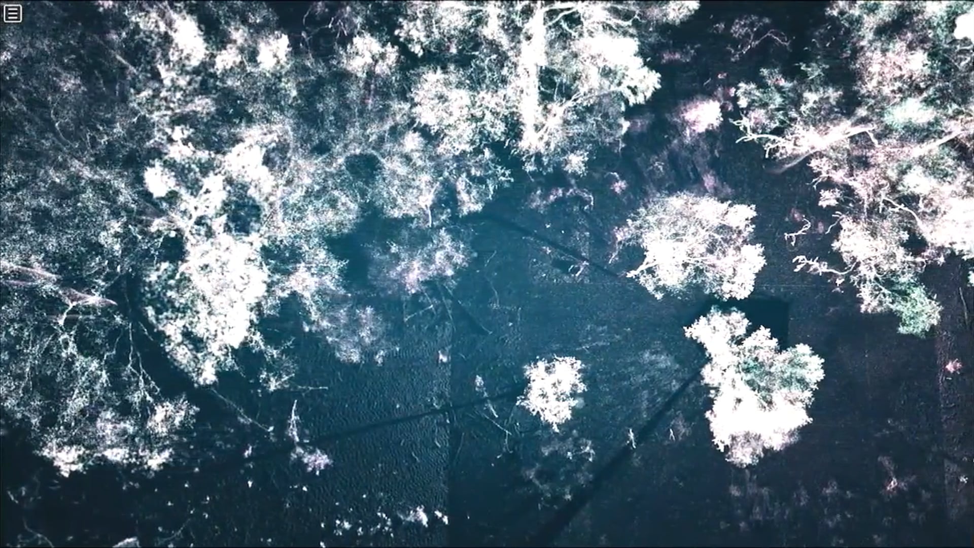 Ghost Trees: An immersive, audiovisual voyage through nature | NFSA