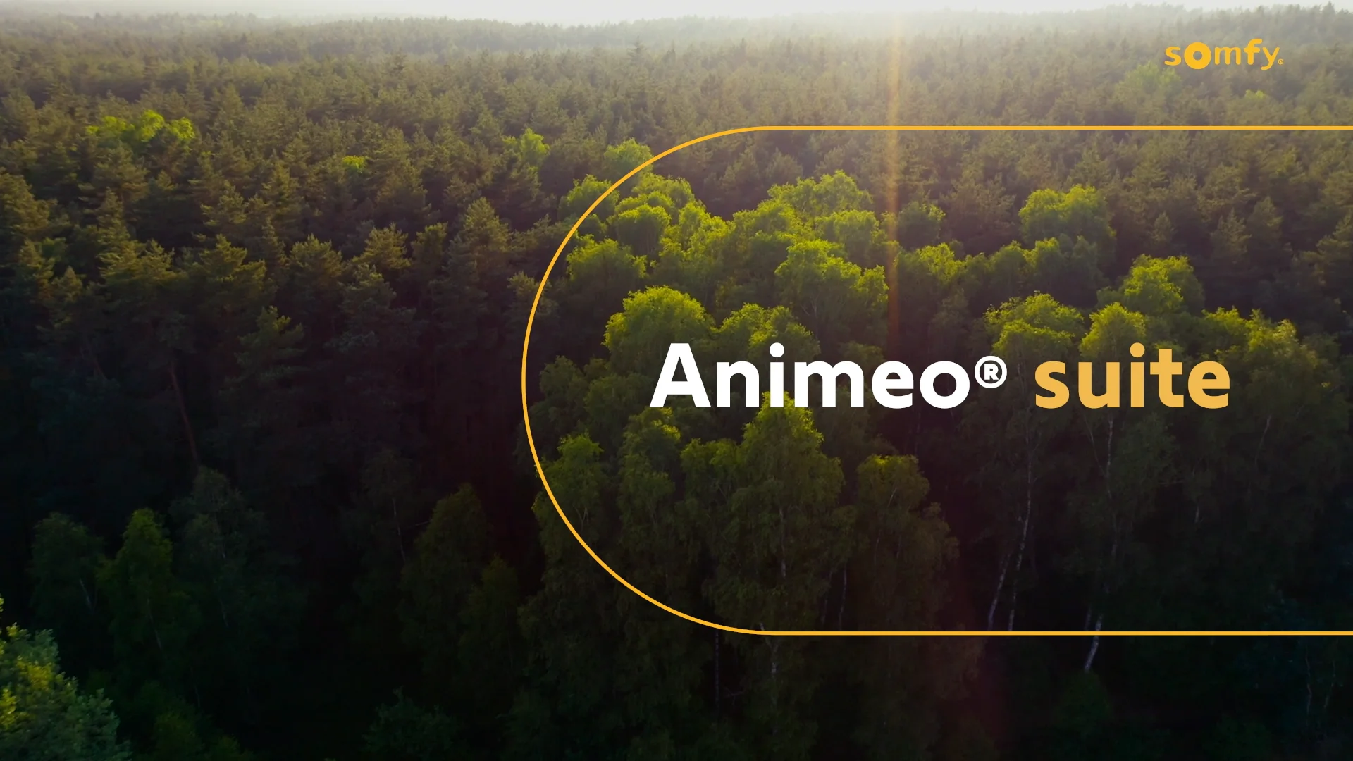 SOMFY ANIMEO-FR-V4