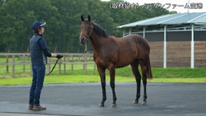 動画サムネイル
