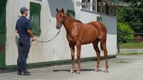 動画サムネイル
