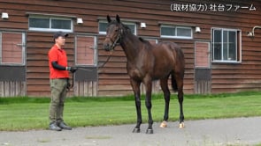 動画サムネイル