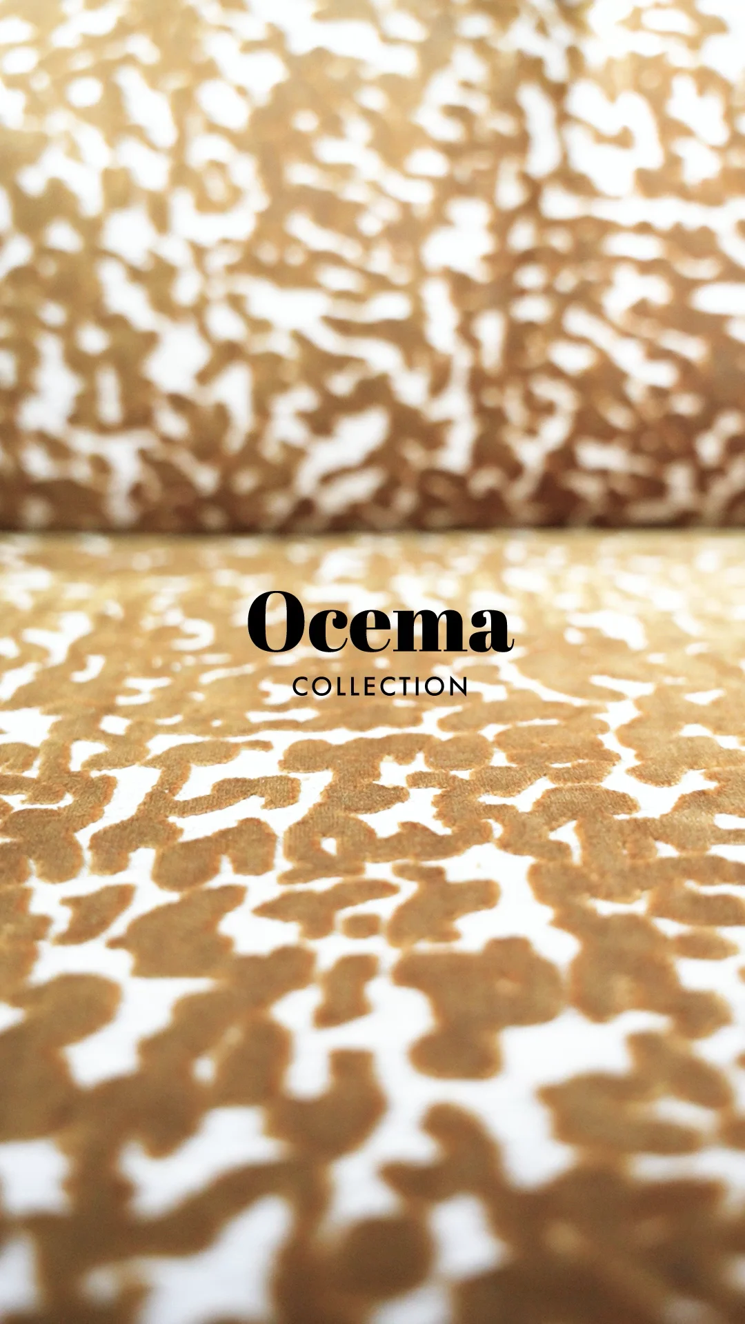 CASAMANCCE - TIA - OCEMA - 09/24