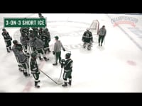 Preview Video #1