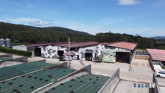 Murales y grafitis que adornan un gran número de granjas gallegas