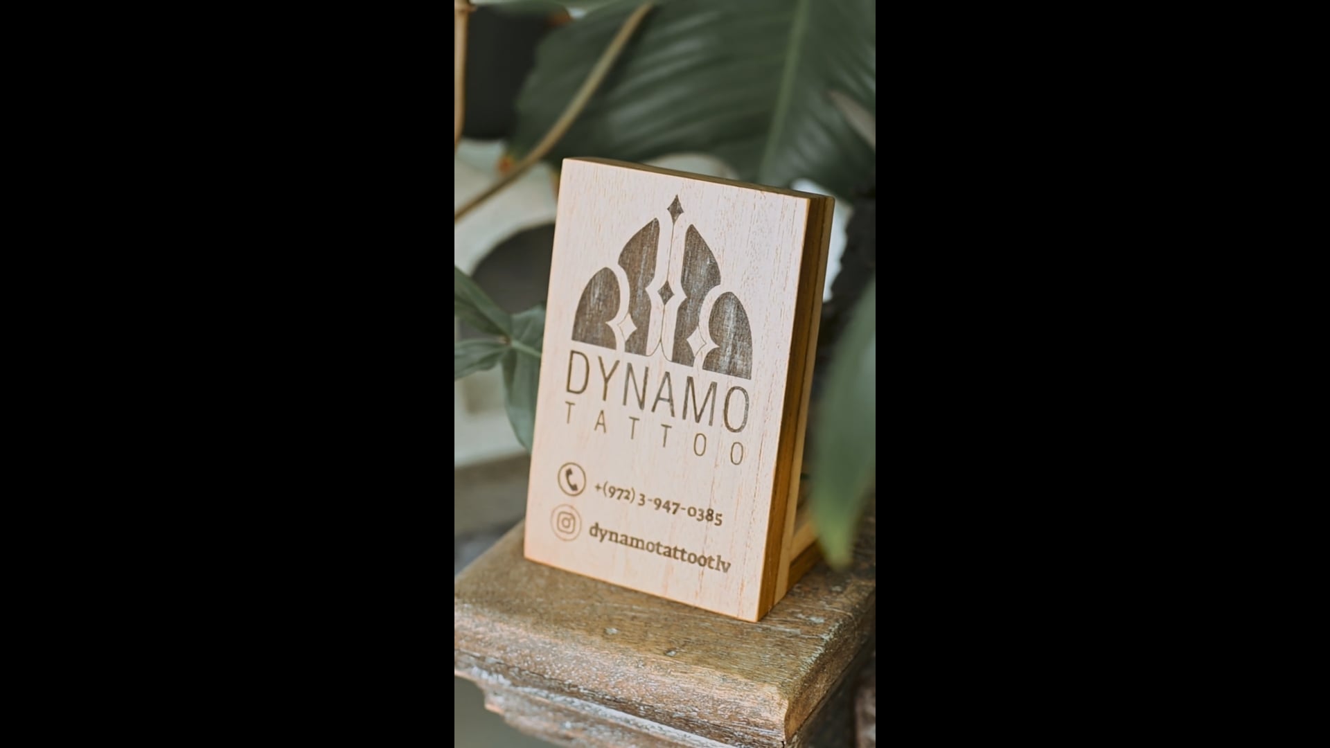 Dynamo Teaser