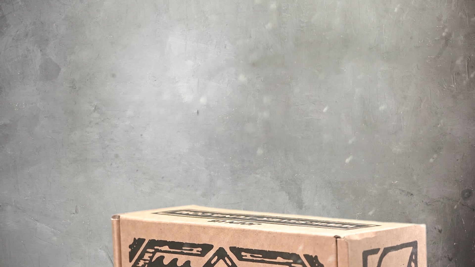 Silver Tuna - Box Trailer