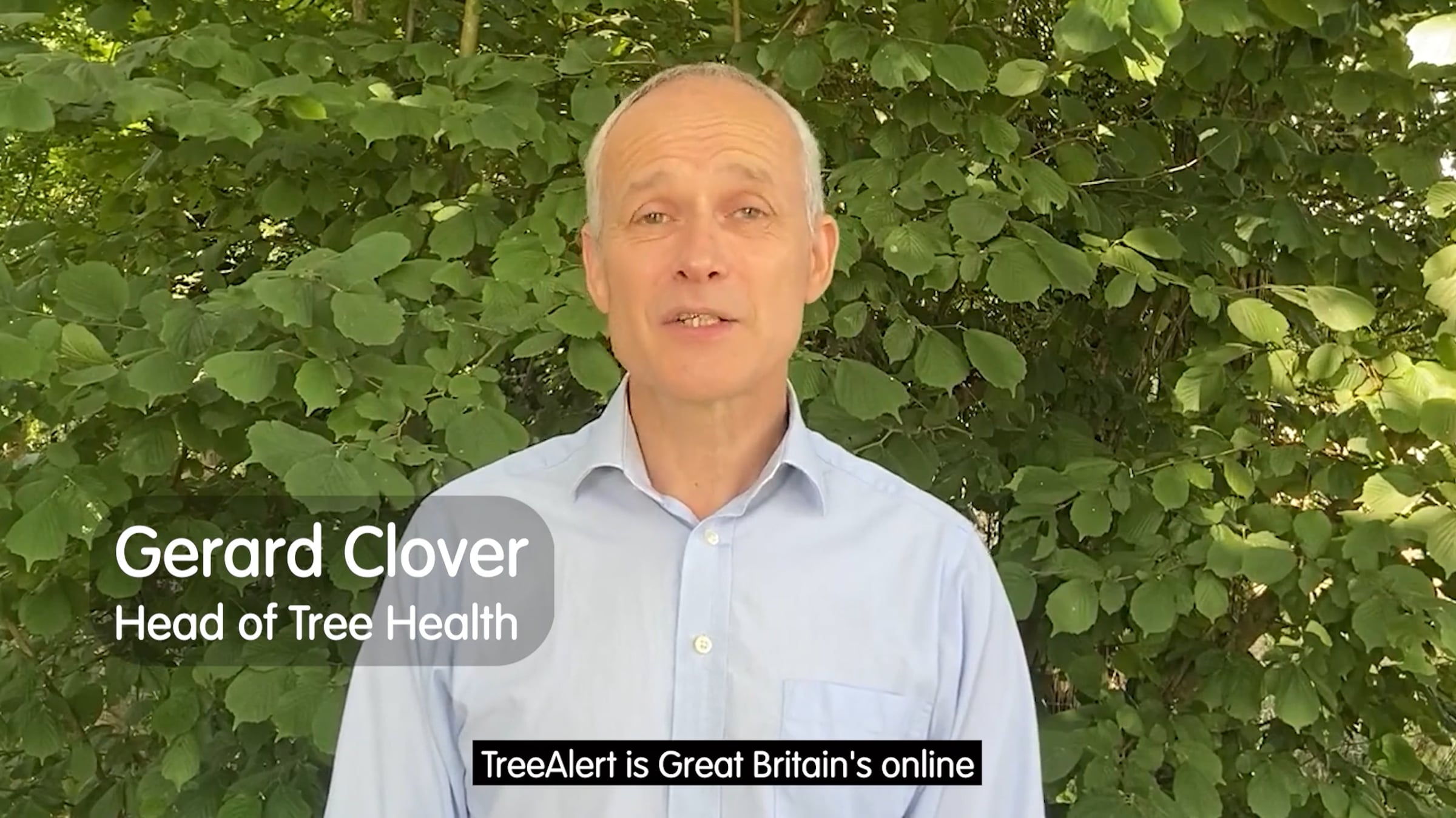 Tree Alert Dashboard update | Videos & Movies on Vimeo