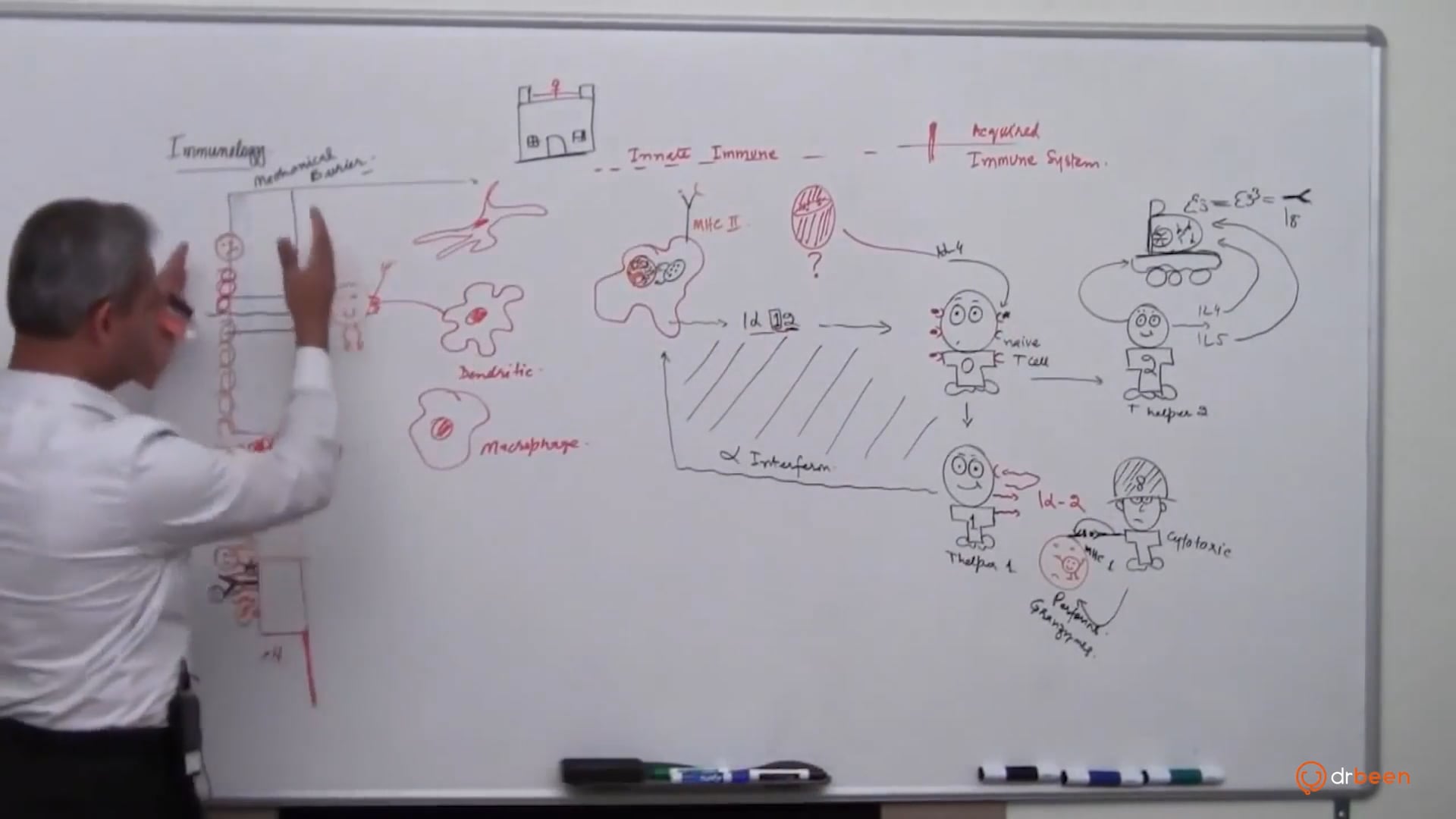 Overview (Innate and Acquired Arm)