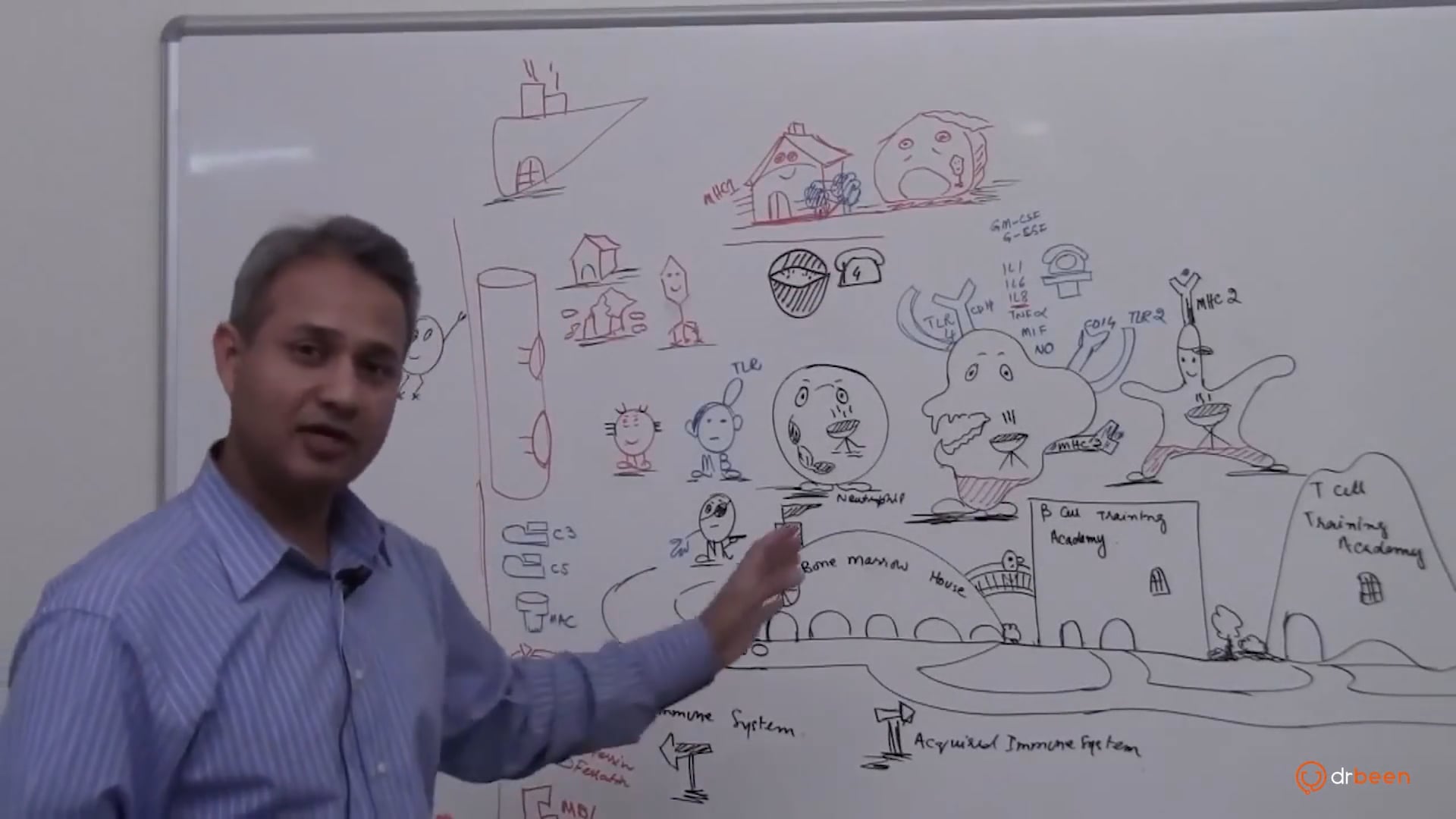 Overview (Immune Cells)