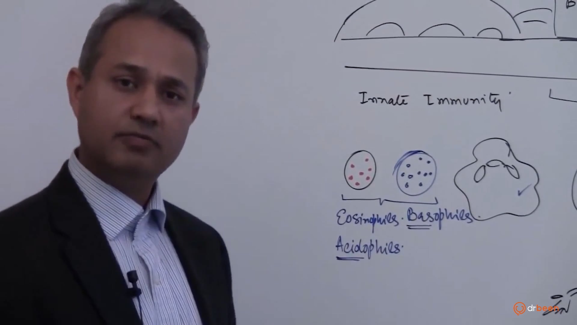Mast and Basal Cells