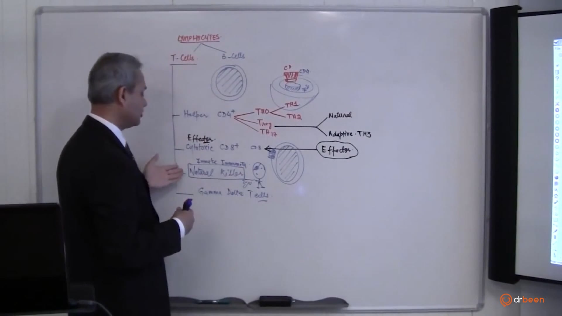 T Cells (part 1)